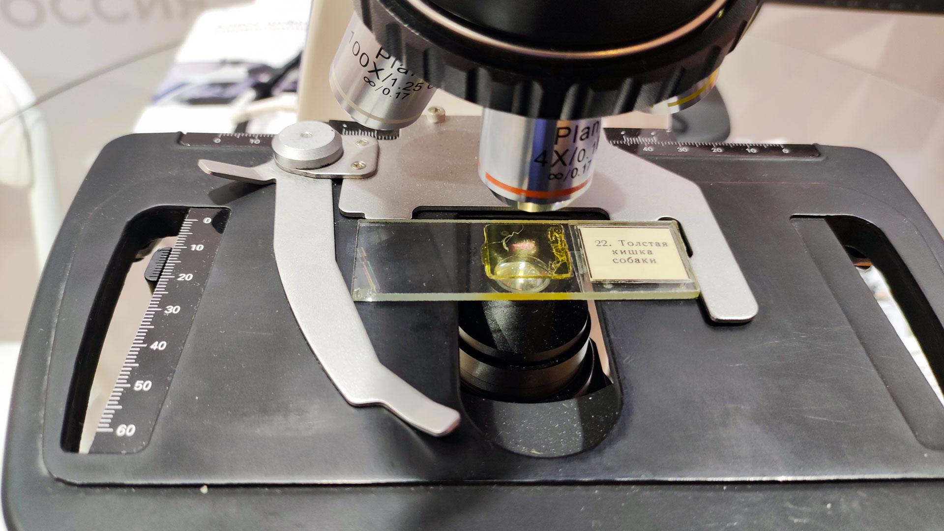 Что такое ветеринарная экспертиза