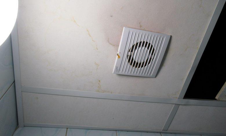 Экологическая экспертиза квартиры: как проводится и сколько стоит?