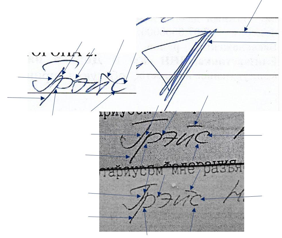 Образец заключения экспертизы подписи на документе